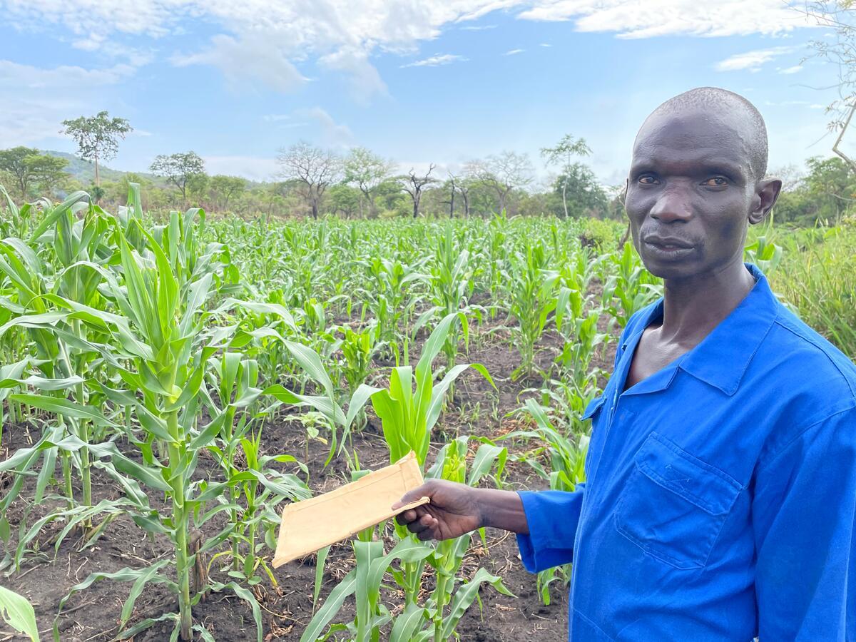 A person standing beside a field of maize